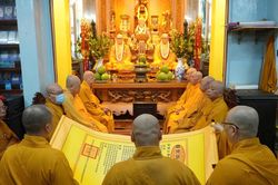 TP.HCM: Các trường hạ chùa Hạnh Nguyện, Tuyền Lâm, Bồ Đề Lan Nhã, Từ Giác tác pháp an cư