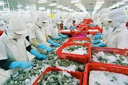 Xuất khẩu nông lâm thủy sản vượt 30 tỷ USD sau 5 tháng, xuất siêu hơn 8,4 tỷ USD