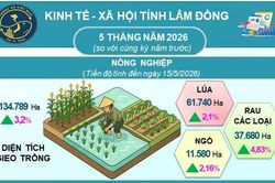 Kinh tế Lâm Đồng 5 tháng đầu năm khởi sắc ở nhiều lĩnh vực
