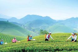 Thái Nguyên: Lấy văn hóa bản địa kiến tạo mũi nhọn kinh tế du lịch