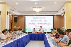 Thúc đẩy kinh tế số phát triển thực chất, hướng tới đóng góp bền vững vào GRDP địa phương