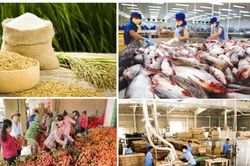 Xuất khẩu nông, lâm, thủy sản bứt tốc, 5 tháng đầu năm đạt gần 31 tỷ USD