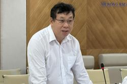 Hơn 1.400 vụ xâm phạm quyền sở hữu trí tuệ bị xử lý trong 3 tuần