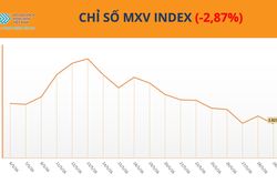 Thị trường h&agrave;ng h&oacute;a: MXV-Index mất gần 3%