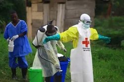 WHO đánh giá nguy cơ Ebola lan ra ngoài châu Phi