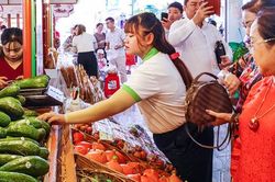 Ngọt ngào hương sắc miệt vườn gọi mời du khách ghé đến Lễ hội Trái cây Nam Bộ