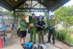 Công an phường, xã của TPHCM: Liên tiếp lập thành tích trong đấu tranh phòng, chống tội phạm