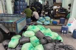 Công an TPHCM đồng loạt triệt phá 3 cơ sở dùng hóa chất độc hại sản xuất 1.000 tấn giá đỗ bán ra thị trường