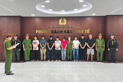 Công an TPHCM khởi tố 4 cán bộ kiểm lâm tiếp tay cho tội phạm mua bán động vật hoang dã