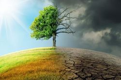 Biến đổi khí hậu làm gia tăng bất bình đẳng trong nông nghiệp toàn cầu