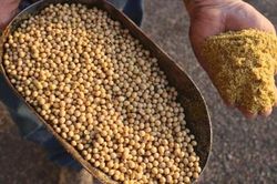 Nhật Bản tăng cường nguồn cung thức ăn chăn nuôi bằng các giống GMO thế hệ mới