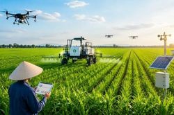 Cà Mau triển khai kế hoạch sản xuất giảm phát thải trong lĩnh vực trồng trọt đến năm 2050