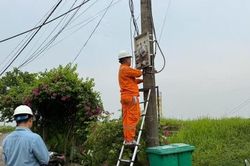Xã Hồng Vân: Cắt điện 9 trường hợp vi phạm tại bãi sông Hồng