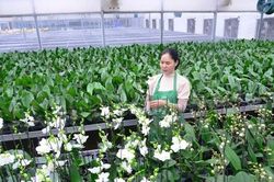 Đ&agrave;o tạo n&acirc;ng cao chất lượng lao động ng&agrave;nh N&ocirc;ng nghiệp, h&igrave;nh th&agrave;nh lực lượng n&ocirc;ng d&acirc;n số