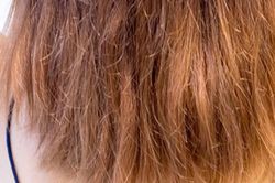 Đừng ngó lơ 4 dấu hiệu tóc cháy nắng: Cách 'hồi sinh' mái tóc khô xơ