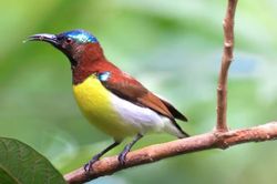 3 khung giờ sinh Âm lịch mang mệnh đại phúc đại lộc, gia đình cũng được 'thơm lây'