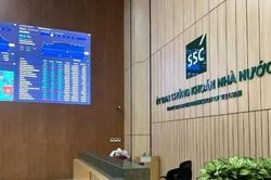 Ủy ban Chứng khoán xử phạt Công ty Thương mại Hoàng Ngân Sơn