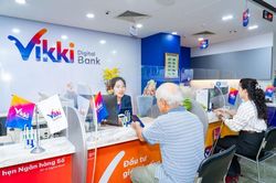 Thanh tra y&ecirc;u cầu Vikki Bank xử l&yacute; c&aacute;c c&aacute; nh&acirc;n để xảy ra vi phạm