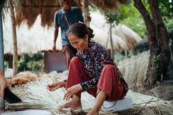 Ch&iacute;nh phủ ban h&agrave;nh bộ ti&ecirc;u ch&iacute; OCOP mới, th&uacute;c đẩy du lịch n&ocirc;ng th&ocirc;n