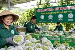 Lạng Sơn: Nâng giá trị nông sản từ những chuỗi liên kết