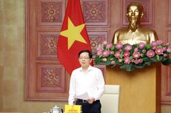 Phó Thủ tướng: Nghiên cứu mức xử phạt hành vi xâm phạm quyền sở hữu trí tuệ bảo đảm tính răn đe