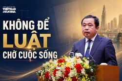 Không để luật chờ cuộc sống