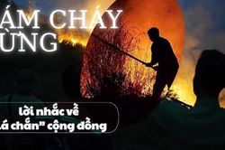 Đ&aacute;m ch&aacute;y rừng v&agrave; lời nhắc về 'l&aacute; chắn' cộng đồng