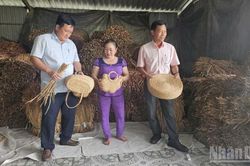 Phụ nữ Vị Thủy biến tài nguyên bản địa thành giá trị kinh tế