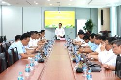 Điều hành sản xuất, cung ứng đủ than cho sản xuất