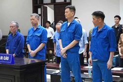 Nhiều cựu lãnh đạo Tổng công ty Xi-măng Việt Nam được giảm án