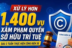 [Infographic] Xử lý hơn 1.400 vụ xâm phạm quyền sở hữu trí tuệ sau 3 tuần thực hiện Công điện 38