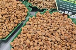 Giá cà phê hôm nay 2-6: Arabica giảm 3 con số
