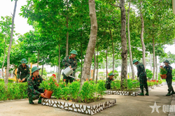 Con chim có tổ, có bầy, ai ơi đừng bẫy, để đây đất lành