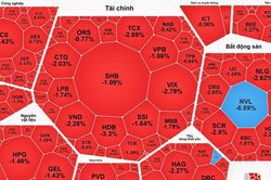 Thị trường chìm trong sắc đỏ, VN-Index giảm phiên thứ 6 liên tục