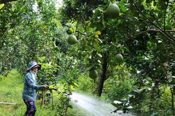 Đồng Tháp, Tây Ninh: Đảm bảo nước ngọt, chủ động ứng phó hiện tượng El Nino