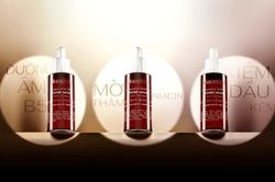 Xử phạt nặng Công ty TNHH thương mại dịch vụ xuất nhập khẩu The Vigo