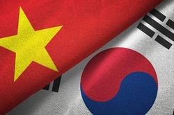 Làn sóng du học tại Hàn Quốc và Trung Quốc tăng mạnh