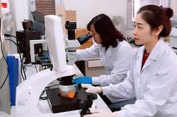 Phát huy giá trị thực tế các công trình nghiên cứu khoa học