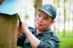 Từ 'B&agrave;n tay v&agrave;ng' đến Bằng khen của Thủ tướng