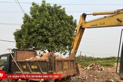 Khởi tố đối tượng đổ thải vật liệu xây dựng trái phép