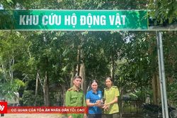 Tiếp nhận cá thể tê tê quý hiếm từ người dân