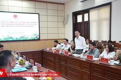 Huế phối hợp triển khai dự án chăm sóc thay thế cho trẻ em có hoàn cảnh đặc biệt