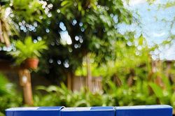 Hơi thở c&oacute; m&ugrave;i: Lấy lại tự tin với tinh dầu răng miệng Lagin Temo