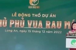 Nữ Chủ tịch C&ocirc;ng ty CCV Group Mai H&agrave; Trang bị khởi tố