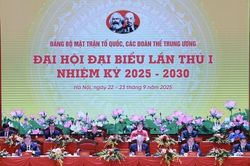 Chức năng, nhiệm vụ, tổ chức bộ máy của Đảng ủy Mặt trận Tổ quốc, các đoàn thể Trung ương