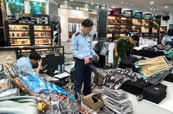 Xử lý 1.520 vụ xâm phạm sở hữu trí tuệ, chuyển Cơ quan điều tra 24 vụ có dấu hiệu tội phạm