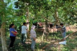 Viện kiểm sát tham gia xem xét, thẩm định tại chỗ đối với án hành chính