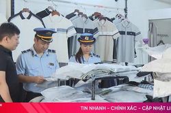 Quyết liệt ngăn chặn, xử lý vi phạm quyền sở hữu trí tuệ