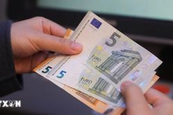 Tầm quan trọng của đồng euro trên thị trường tài chính toàn cầu ngày càng tăng