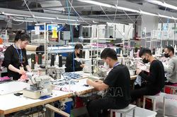 Chuyển đổi số để phục vụ công đoàn viên tốt hơn